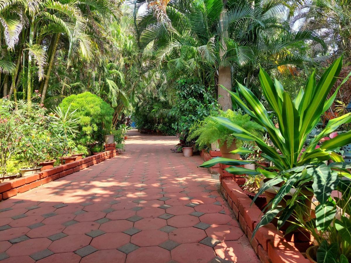 Palm Grove Cottages - Leisure Resort Benaulim Exterior foto