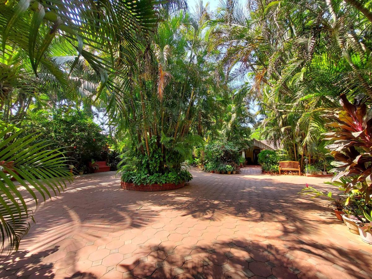 Palm Grove Cottages - Leisure Resort Benaulim Exterior foto