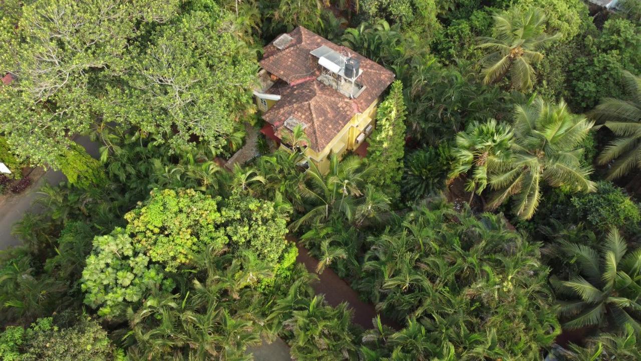 Palm Grove Cottages - Leisure Resort Benaulim Exterior foto