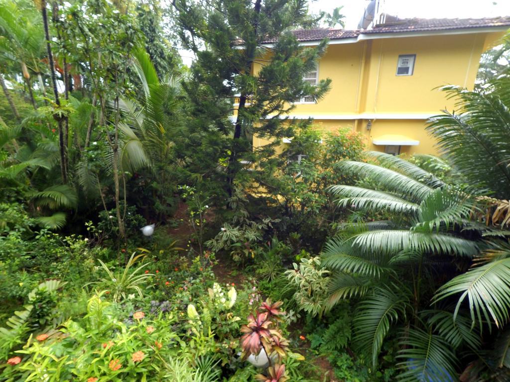 Palm Grove Cottages - Leisure Resort Benaulim Exterior foto