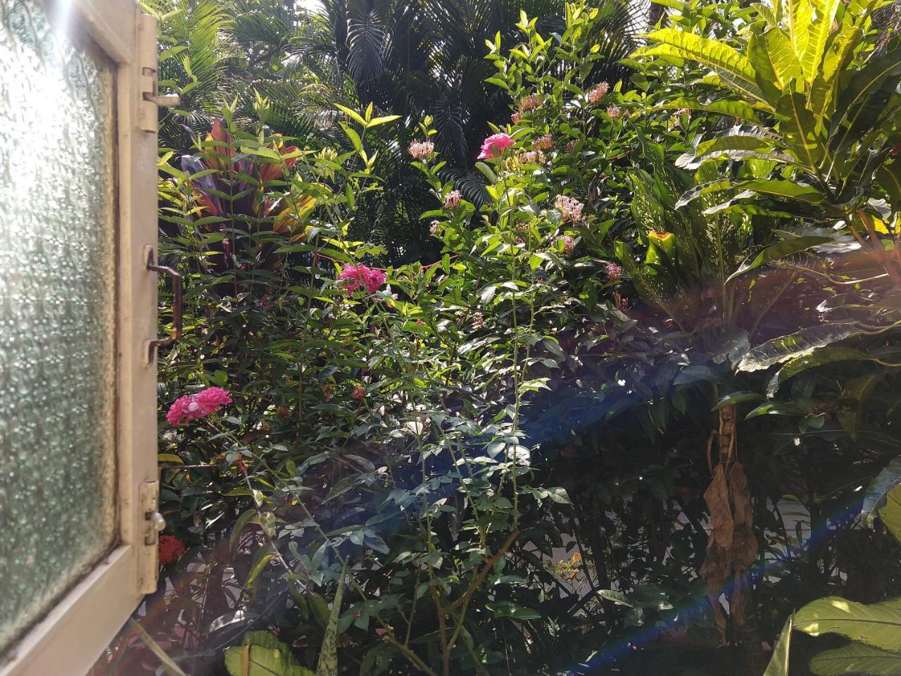 Palm Grove Cottages - Leisure Resort Benaulim Exterior foto